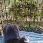 watermark-d56d3e018f34b2fd2ed15e66e165e46f_0