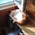 watermark-5f6ff78d316e5065387568835d841917_0