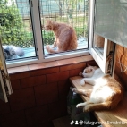 watermark-db64c83aefa44348c0698173f40d2cc4_0