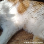 watermark-59f056761f2c76ef4b2ae9b8b4099bea_0