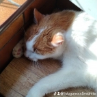 watermark-da2d1a751a29b4e8a026f8a57cf038f7_0