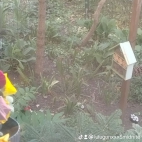 watermark-bc91e087adbb7df11c55c5ac60c922e1_0