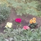 watermark-ed4f446785156ab1bbd7a2aa2ab260a6_0