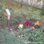 watermark-1368eab2d6f1c1cdf0df7e42938a55d4_0
