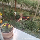 watermark-ecde4d8448c46803390b091de0f903bf_0