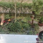 watermark-9157a2b7c2379cbc7b1e63dfe7f58864_0