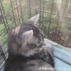 watermark-74e6845db6ef126f9c29349af57e3d95_0