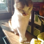 watermark-9f6267724555f0c091e177c7704febe0_0