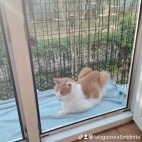 watermark-b5c0d86f265439e2d6cc85eaf28f0164_0