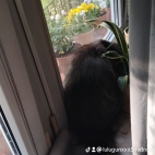 watermark-744d899dfcf6f0f57b1da3a40721296e_0