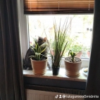 watermark-5706221ebba0806cb61f7b3d2f66e69a_0
