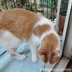 watermark-9ec7c024b5d988ab41d6e1c292d00739_0