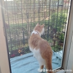 watermark-93dc7e183815469163152ed8387f0729_0