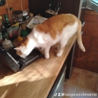 watermark-2f03c58f0916267fd942769de512a5aa_0