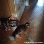 watermark-06bb9ec8a451aca1825a6084c25c7102_0