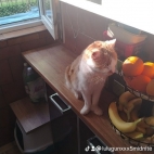 watermark-0db0c5269e1bf7c7e242e9893d9f3b25_0