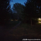 watermark-561bd2da79995c0ef6471c37cc3a6d36_0