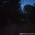 watermark-7105ff4ea336c114222cbbe7d11419c0_0