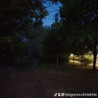 watermark-fa111e57a45d016cff84d6e49c5f2d30_0