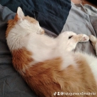 watermark-ba5ca43ef1721b7952b2008a764fb4fd_0