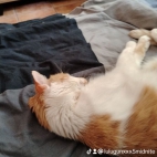 watermark-471b813d8473692fc049ccddc68897ef_0