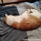 watermark-38b90898124a49d0ba1024769d36a991_0