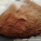 watermark-5d95ce68c30648fc702701f11727ee18_0