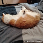 watermark-bfcfdc58c3c3e1ed9c5281c5a54aad32_0