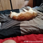 watermark-ab8c81f614f1d13425e488905b37db85_0