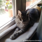 watermark-c2537ce2e79de315b5aa81aad962a95e_0