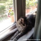 watermark-7b0d72baf27b4a329b385b75bf464ee6_0