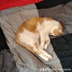 watermark-94766bb965e25ecda60d7868627fb983_0