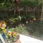 watermark-eb22eeffbd35c603d81b6d2d041933da_0