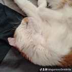 watermark-56c7a0f68a55a224d0e926c9cf20e2cd_0
