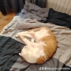 watermark-93cce8dadf9ab2bf60a18244d872d425_0