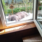 watermark-e682f330780d6bee2a4378705330edbe_0