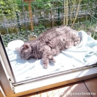 watermark-365edba0b9170e359baade656b0e152e_0