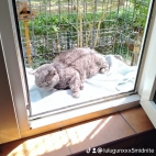watermark-2732106e23b0ccc4922c2f2f3839601d_0