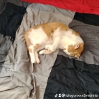 watermark-9bbb28f0da49901b03dd63e20bbec851_0