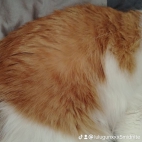 watermark-aad56278a85f6367d14bc08af45b59c0_0