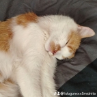 watermark-2c598f6a9be4be6c0bb4d1491ea70b01_0