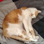 watermark-a2c39beebced6ebfe9a2fc202be78070_0