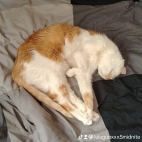 watermark-88b3f5214d2fab1a511aa9f456cf99aa_0