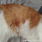 watermark-21102336235d1fa7af327d64d0e37044_0