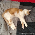 watermark-5d8c585516e620ceb926d51ffb590e01_0