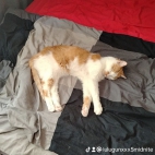 watermark-09ca5b2be9334409cf424ce19238f9f0_0