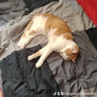 watermark-2d4c793b68d705ed6445a6df90b33a58_0