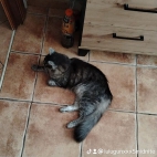watermark-72df672964461d353ef56fd1e36c055d_0