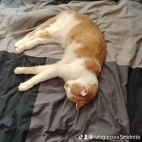watermark-7ae8731284b0ad450978549de4834384_0