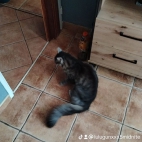 watermark-e82e6b17c0fb16c4144ffabb07dcde12_0